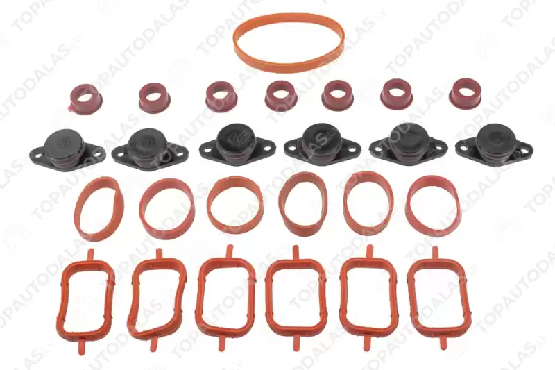 BMW 3 5 6 7 E46 E39 E60 E61 E63 E64 E65 E66 E90 E91 E92 22MM Ieplūdes kolektors blīve korķi 2.5D 3.0D 3.5D
M57 M57N M57N2 2246945 7790198 BMW 3 5 6 7 E46 E39 E60 E61 E63 E64 E65 E66 E90 E91 E92 22MM Ieplūdes kolektors blīve korķi 2.5D 3.0D 3.5D
M57 M57N M57N2 2246945 7790198