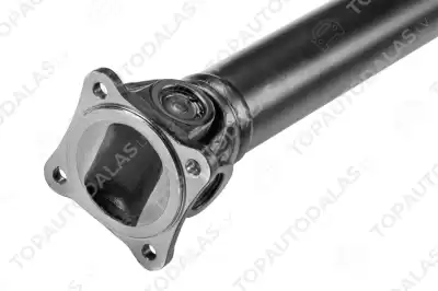 RENAULT KANGOO 4X4 1997-2008 RENAULT KANGOO 4X4 1997-2008