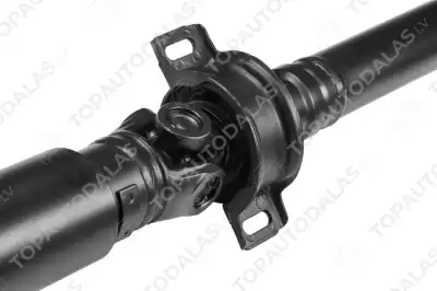 RENAULT KANGOO 4X4 1997-2008 RENAULT KANGOO 4X4 1997-2008