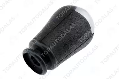 FORD TRANSIT 2006- 5MTM