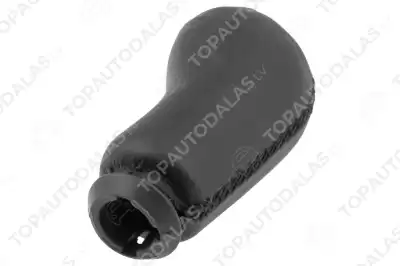 RENAULT MODUS 2004- 5MTM